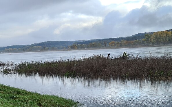 Oder an der Europabrücke, Foto: Bernd Müller, Lizenz: NaturFreunde Oberbarnim e.V.