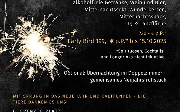 Silvester Abend, Foto: Marie Leßnig, Lizenz: Marie Leßnig