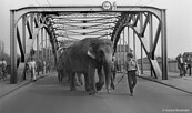 „Zirkus Busch in Eberswalde“ aus dem Jahr 1983, Foto: Günter Rinnhofer