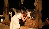 BRACHLAND1, Foto: Laura Langeke, Lizenz: Laura Langeke