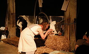 BRACHLAND1, Foto: Laura Langeke, Lizenz: Laura Langeke