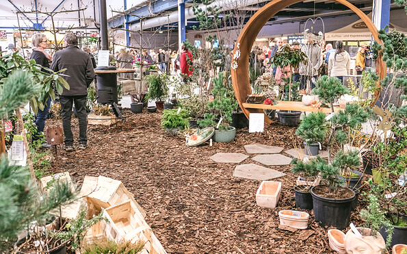 Gartenträume in der Messe Cottbus, Foto: Gartenträume B.V., Lizenz: Gartenträume B.V.