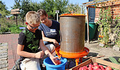 Apfelsaft frisch aus der Presse, Foto: Juliane Wittig, Lizenz: Naturparkverein Hoher Fläming e.V.