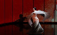 Szene aus MADAMA BUTTERFLY, Foto: Bernd Schönberger, Lizenz: Brandenburgische Kulturstiftung Cottbus-Frankfurt (Oder)