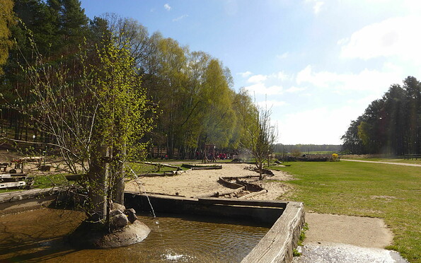 im Wildpark Schorfheide, Foto: Gemeinde Schorfheide Anke Bielig, Lizenz: Gemeinde Schorfheide Anke Bielig
