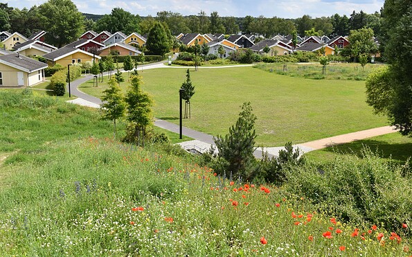 Kneipp Park Wendisch Rietz, Foto: Tourismusverein Scharmützelsee, Lizenz: Tourismusverein Scharmützelsee