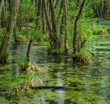 Geführte Rundwanderung am Tag der „Offenen Höfe“ durch das Naturschutzgebiet Zarth