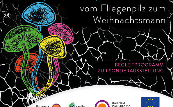 Magie der Pilze, Foto: Jeannine Schneider, Lizenz: Gemeinde Wandlitz
