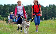 Je nach Körperbau und Kondition wird für jeden Teilnehmer der geeignete Hund ausgesucht, Foto: Sabine Kühn, Lizenz: Sabine Kühn