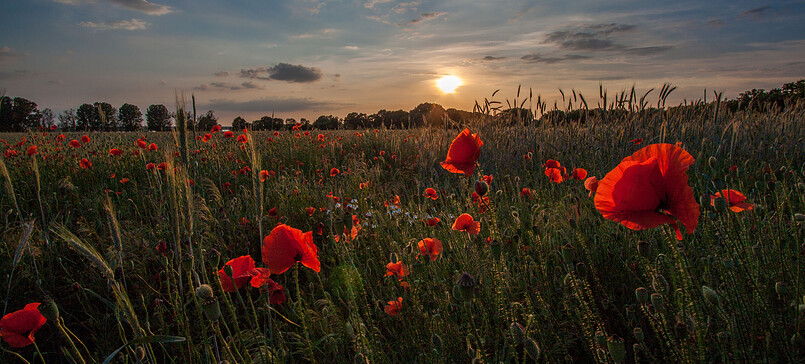 Save the Date: 13.11.25 – Landwirtschaftstag in Menz
