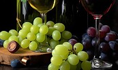 Wein, Foto: Helena Chyprina, Lizenz: Pixabay.de