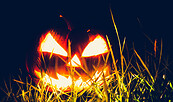Halloweenkürbis, Foto: jannoon028, Lizenz: Freepik