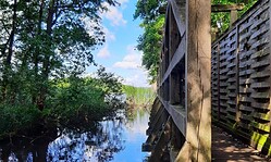 Auf ins herbstliche Spargelland: Von Elsholz über Rieben nach Beelitz