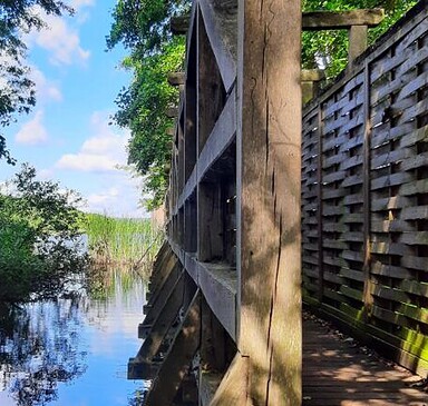 Auf ins herbstliche Spargelland: Von Elsholz über Rieben nach Beelitz