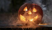 Halloween, Foto: Bild von SzaboJanos auf Pixabay, Lizenz: Bild von SzaboJanos auf Pixabay
