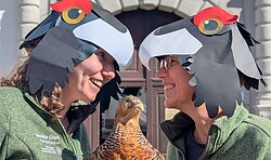 Familientag: Verborgene Majestäten