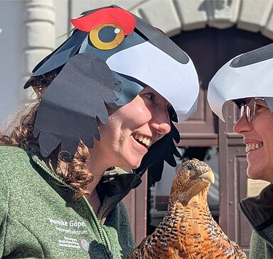 Kampf um die Henne, Foto: FV Naturpark NLH