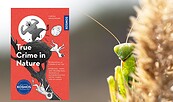 True Crime in Nature, Foto: Farina Graßmann, Lizenz: Farina Graßmann