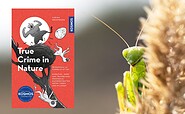 True Crime in Nature, Foto: Farina Graßmann, Lizenz: Farina Graßmann