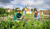 Kräutergarten/ Kloster Neuzelle, Foto: Florian Läufer