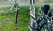 Auf zum Halloween am Wandlitzsee, Foto: C. Robak, Lizenz: RedStone Hotels GmbH
