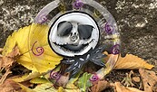 Glas bemalen zu Halloween, Foto: Museumsverein Glashütte e.V.