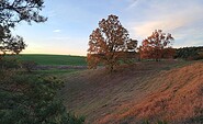 Letzte Sonnenstrahlen im November, Foto: Rolf-Dieter Grass, Lizenz: Kranichhof Mescherin
