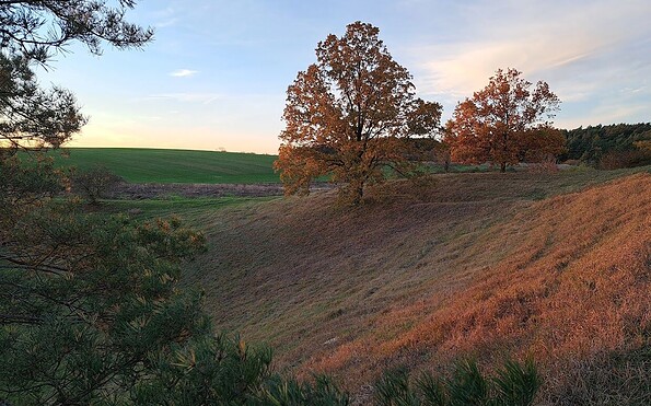 Letzte Sonnenstrahlen im November, Foto: Rolf-Dieter Grass, Lizenz: Kranichhof Mescherin