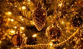 Foto: alexman89, Lizenz: pixabay