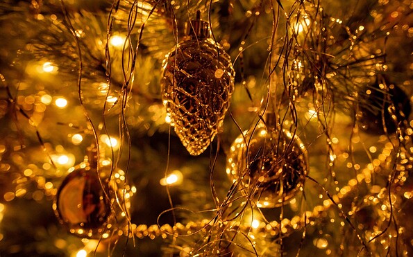 Foto: alexman89, Lizenz: pixabay