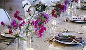 Carsten kocht -Gutes Essen und Trinken, Foto: Carsten Suhr