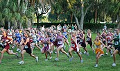 Crosslauf, Foto: Pixabay, Lizenz: Pixabay