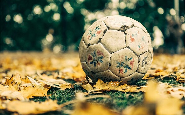 Foto: StockSnap, Lizenz: Pixabay
