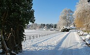 Winter Scharmützelsee, Foto: Tourismusverein Scharmützelsee, Lizenz: Tourismusverein Scharmützelsee