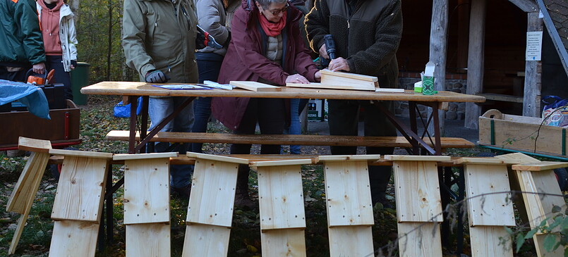 Hilfe für Wildtiere: Fledermauskasten-Bau