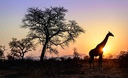 Südafrika, Foto: Kai-Uwe Küchler, Lizenz: Kai-Uwe Küchler