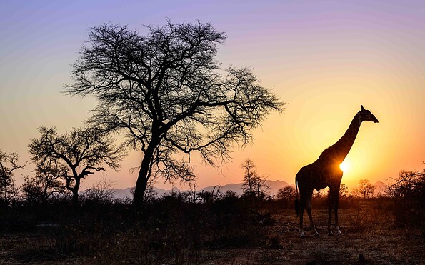 Südafrika, Foto: Kai-Uwe Küchler, Lizenz: Kai-Uwe Küchler