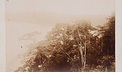 Elephantensee/ Barombi Mbo , Foto: Repro: Lorenz Kienzle/Ronka Oberhammer