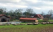 Gut Friedrichsfelde, Foto: J. Kath, Lizenz: J. Kath