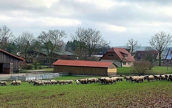 Gut Friedrichsfelde, Foto: J. Kath, Lizenz: J. Kath