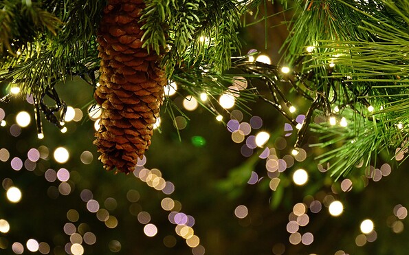 Foto:  Peggychoucair, Lizenz: Pixabay