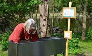 Armbad im Kneipp-Erlebnisgarten Drei Eichen, Foto: Josephin vom Schloss, Lizenz: Drei Eichen