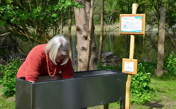 Armbad im Kneipp-Erlebnisgarten Drei Eichen, Foto: Josephin vom Schloss, Lizenz: Drei Eichen