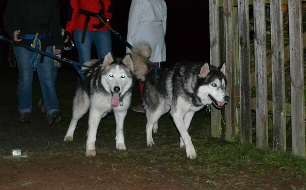 Lichterwanderung 3, Foto: Sabine Kühn