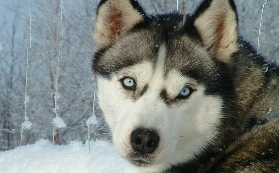 Lichterwanderung 1, Foto: Sabine Kühn