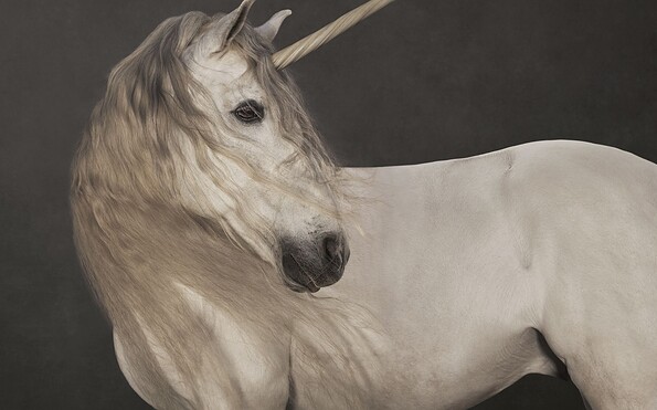 Marie Cécile Thijs: Einhorn, 2012, aus der Serie „Pferde, Foto: Marie Cécile Thijs, courtesy SmithDavidson Gallery, Lizenz: Museum Barberini
