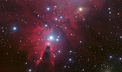 Sternhaufen, Foto: ESO, Lizenz: ESO