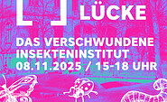 Grafik: Franziska Behring, Foto: Franziska Behring