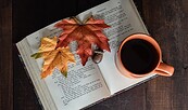 Foto: Deborah Hudson , Lizenz: Pixabay