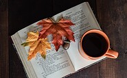 Foto: Deborah Hudson , Lizenz: Pixabay